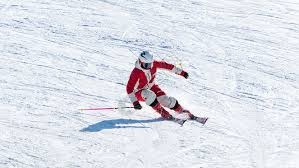 中超-客场击败天津津门虎 上海申花拿到联赛亚军